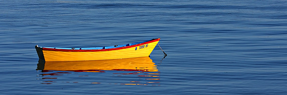p730554748 3